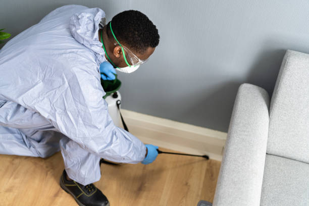 Best Residential Pest Control  in Llano Grande, TX